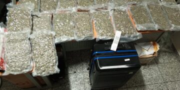 Autoridades decomisan 40 paquetes de marihuana en el AILA