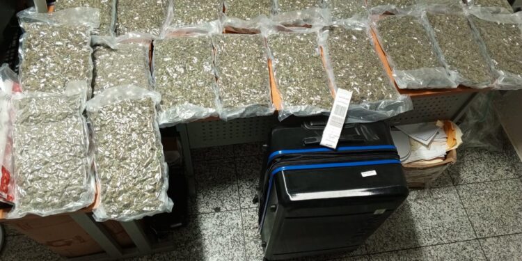 Autoridades decomisan 40 paquetes de marihuana en el AILA