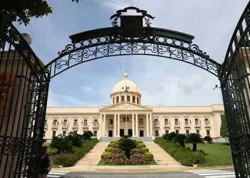 Ciudadano embiste la puerta de entrada al Palacio Nacional