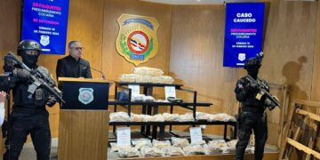 DNCD ocupa 225 paquetes de cocaína camuflados en madera en Puerto Caucedo