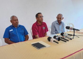 Productores de cacao solicitan ayuda al presidente Luis Abinader para no irse a la quiebra