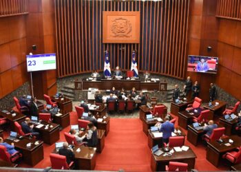 Senado envía a comisión leyes modifican DNI, los Códigos de Trabajo, Civil, Seguridad Social y de Salud