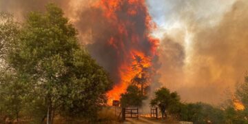 Aumentan a 112 los muertos por los incendios forestales en Chile