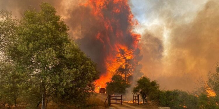 Aumentan a 112 los muertos por los incendios forestales en Chile
