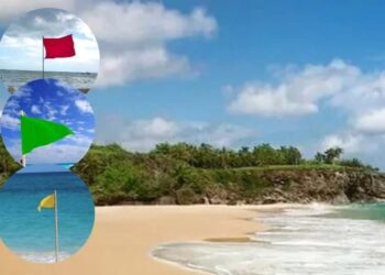 ¡Cuidado con el color de la bandera colocada en balnearios o playas que visites!