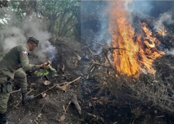 SENPA apresa 368 personas y retiene 207 vehículos por  violar ley