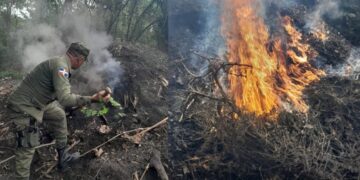 SENPA apresa 368 personas y retiene 207 vehículos por  violar ley