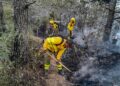 Bomberos forestales combaten incendios en diversos puntos del país