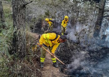 Bomberos forestales combaten incendios en diversos puntos del país