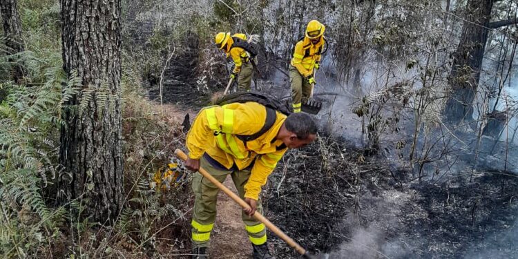 Bomberos forestales combaten incendios en diversos puntos del país