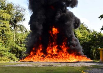 Autoridades incineran 668 kilogramos de distintas drogas