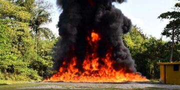 Autoridades incineran 668 kilogramos de distintas drogas