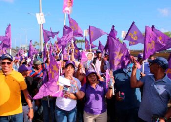 El PLD anuncia toque de banderas para promover a sus candidatos