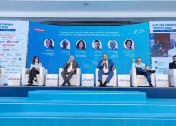 Abogan por más inversiones privadas en energías renovables