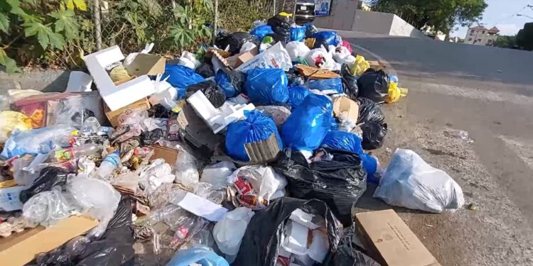 Concejal del PRM asegura alcaldía abandona recogida de basura