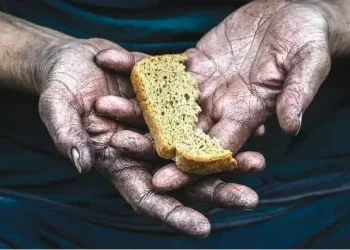 La inseguridad alimentaria aguda afecta a casi la mitad de los haitianos, alerta la FAO