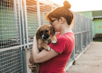 Coordinan por primera vez en RD una guía de prevención y rescate de mascotas durante Semana Santa