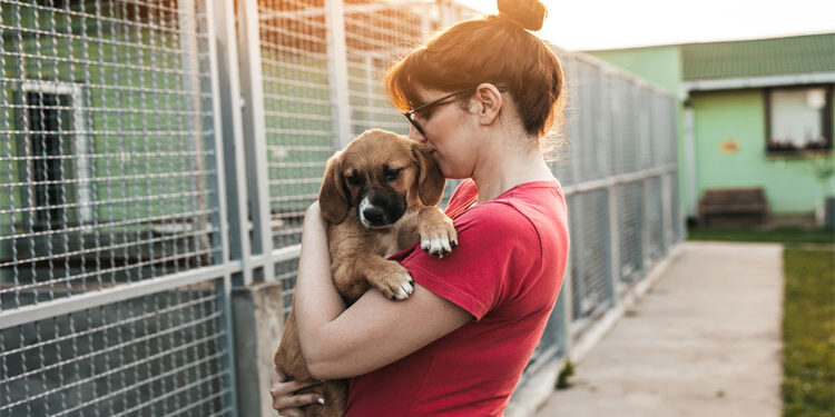 Coordinan por primera vez en RD una guía de prevención y rescate de mascotas durante Semana Santa