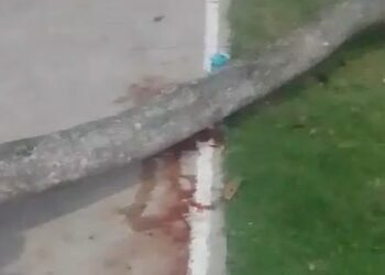 Niña muere tras ser aplastada por árbol en un parque de la capital