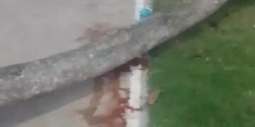 Niña muere tras ser aplastada por árbol en un parque de la capital