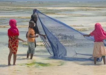 Nueve muertos y 78 hospitalizados tras comer carne de tortuga en la isla Pemba de Zanzíbar