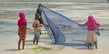 Nueve muertos y 78 hospitalizados tras comer carne de tortuga en la isla Pemba de Zanzíbar