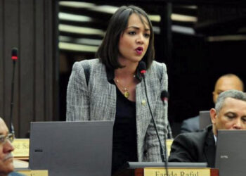 Faride Raful propone que salarios por debajo de RD$46,519 no paguen impuestos