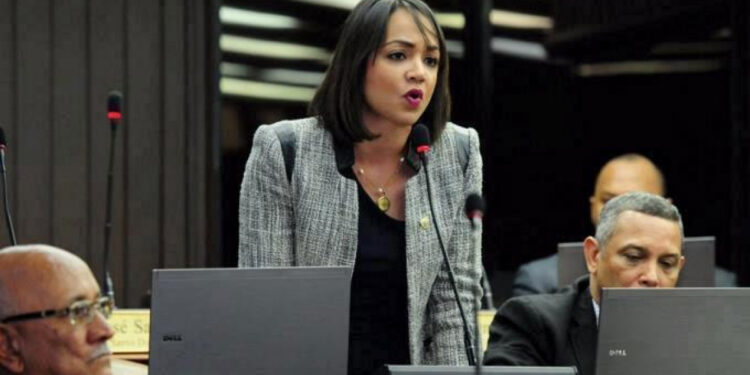 Faride Raful propone que salarios por debajo de RD$46,519 no paguen impuestos