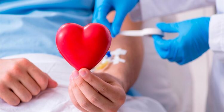 Día del Donante de Médula Ósea: dos caminos unidos por un acto de amor y valentía