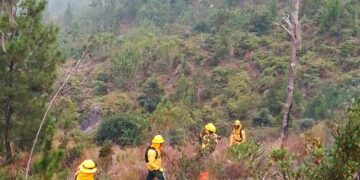 Controlado incendio en el Parque Nacional José del Carmen Ramírez