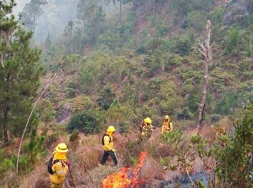 Controlado incendio en el Parque Nacional José del Carmen Ramírez