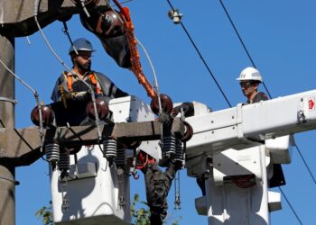 Edesur desmantela 698 conexiones ilegales y recupera 35 transformadores