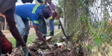 Realizan masiva jornada de recolección de desechos sólidos en Sabana Grande de Boyá