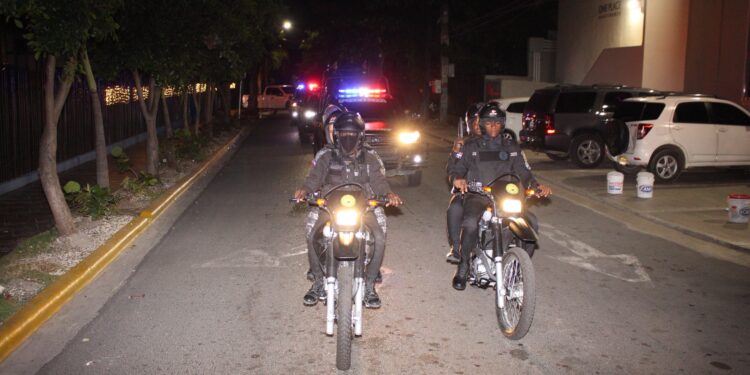 DICRIM detiene a 12 personas por distintos hechos ocupándoles armas de fuego y drogas