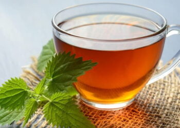 Día Internacional del Té: Los siete beneficios que brinda a la salud