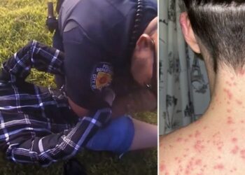 Mujer denuncia Policía de Texas puso su cara sobre hormigas rojas durante arresto