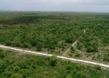 SCJ falla nuevamente en contra del Aeropuerto Internacional de Bávaro