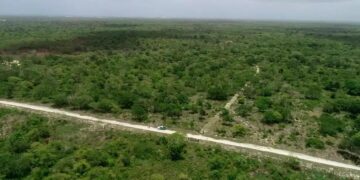 SCJ falla nuevamente en contra del Aeropuerto Internacional de Bávaro