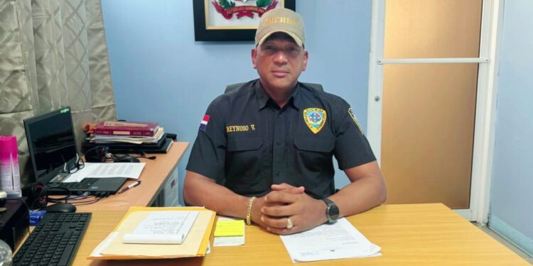 PN desmantela banda que se dedicaba al robo de vehículos en distintos puntos del país
