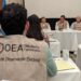 Observadores de la OEA entregarán informe en las próximas horas