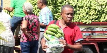 Gobierno compra más de 13 millones de guineos a Adobanano y los vende a peso a través del Inespre