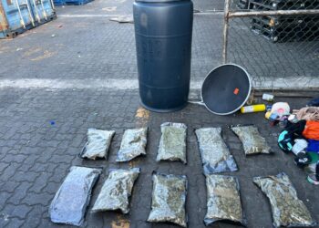 DNCD confisca en puerto Haina 32 paquetes de marihuana