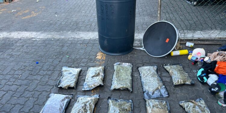 DNCD confisca en puerto Haina 32 paquetes de marihuana