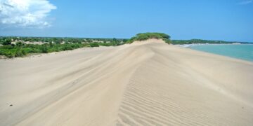 Co-manejo: Una herramienta clave para la protección de las áreas protegidas