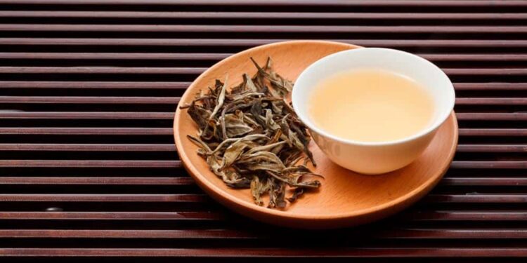 Cómo preparar el té blanco que ayuda a controlar el colesterol y fortalece el sistema inmunitario