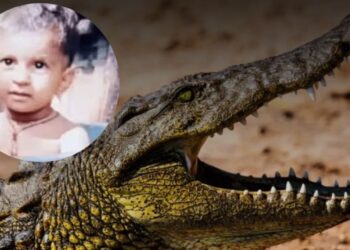 Muere un niño de seis años tras ser arrojado por su madre a un río infestado de cocodrilos