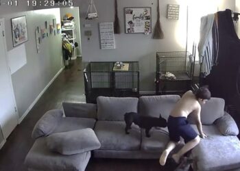 De milagro niño sale ileso tras tiroteo en Fort Worth, Texas