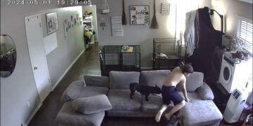 De milagro niño sale ileso tras tiroteo en Fort Worth, Texas