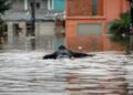 La ciudad brasileña de Porto Alegre se prepara para una nueva inundación récord