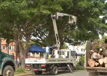 ASDE  Intensifica operativos de limpieza, Iluminación y poda de árboles ante temporada ciclónica 2024